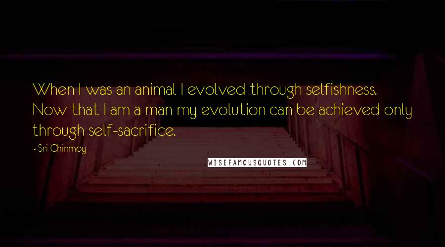Sri Chinmoy Quotes: When I was an animal I evolved through selfishness. Now that I am a man my evolution can be achieved only through self-sacrifice.