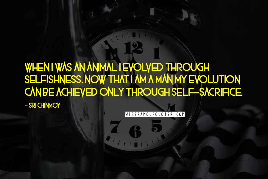 Sri Chinmoy Quotes: When I was an animal I evolved through selfishness. Now that I am a man my evolution can be achieved only through self-sacrifice.