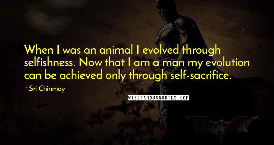 Sri Chinmoy Quotes: When I was an animal I evolved through selfishness. Now that I am a man my evolution can be achieved only through self-sacrifice.