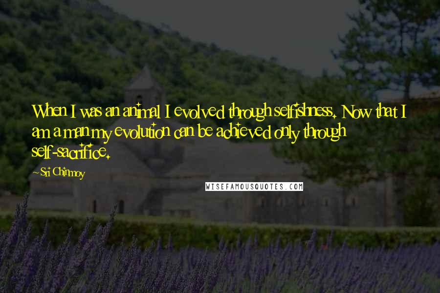 Sri Chinmoy Quotes: When I was an animal I evolved through selfishness. Now that I am a man my evolution can be achieved only through self-sacrifice.