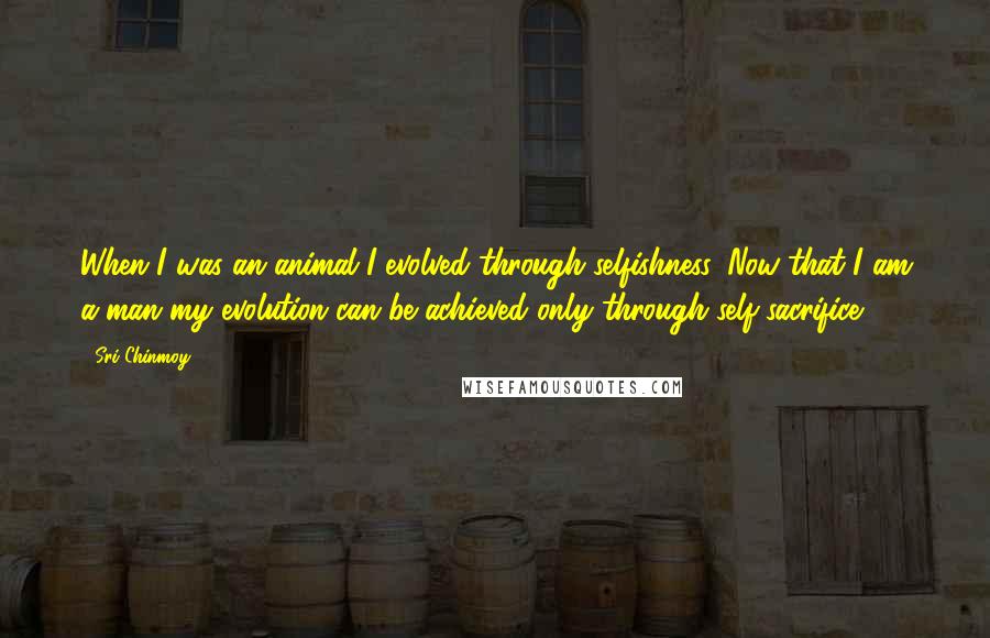 Sri Chinmoy Quotes: When I was an animal I evolved through selfishness. Now that I am a man my evolution can be achieved only through self-sacrifice.