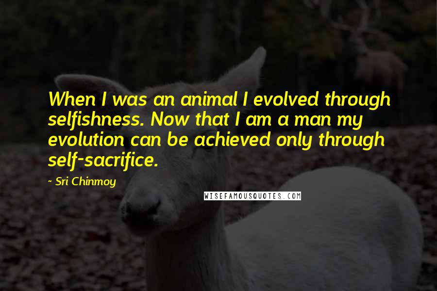 Sri Chinmoy Quotes: When I was an animal I evolved through selfishness. Now that I am a man my evolution can be achieved only through self-sacrifice.