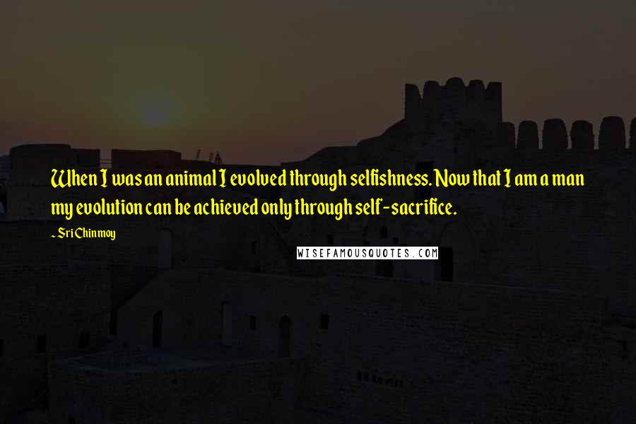Sri Chinmoy Quotes: When I was an animal I evolved through selfishness. Now that I am a man my evolution can be achieved only through self-sacrifice.