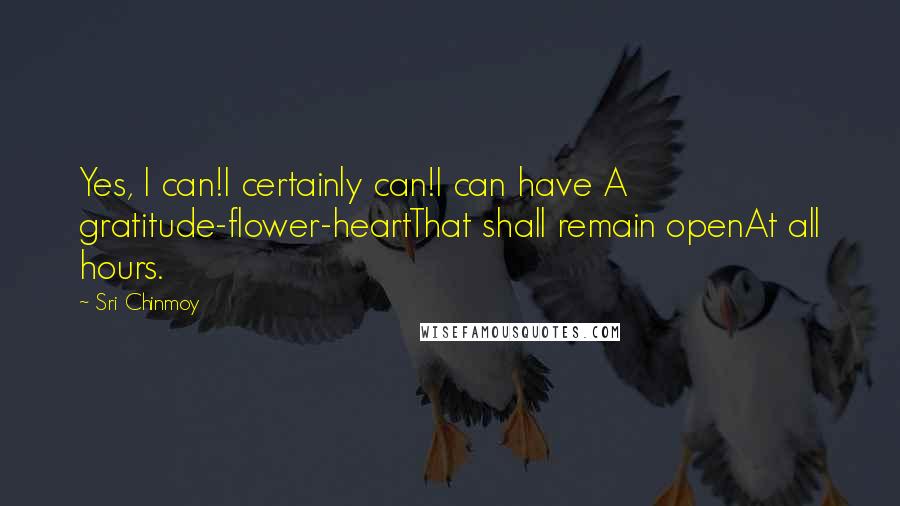 Sri Chinmoy Quotes: Yes, I can!I certainly can!I can have A gratitude-flower-heartThat shall remain openAt all hours.