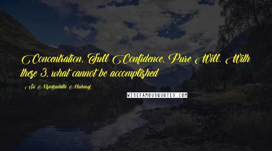 Sri Nisargadatta Maharaj Quotes: Concentration, Full Confidence, Pure Will. With these 3, what cannot be accomplished?