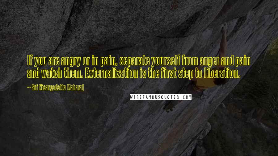 Sri Nisargadatta Maharaj Quotes: If you are angry or in pain, separate yourself from anger and pain and watch them. Externalization is the first step to liberation.