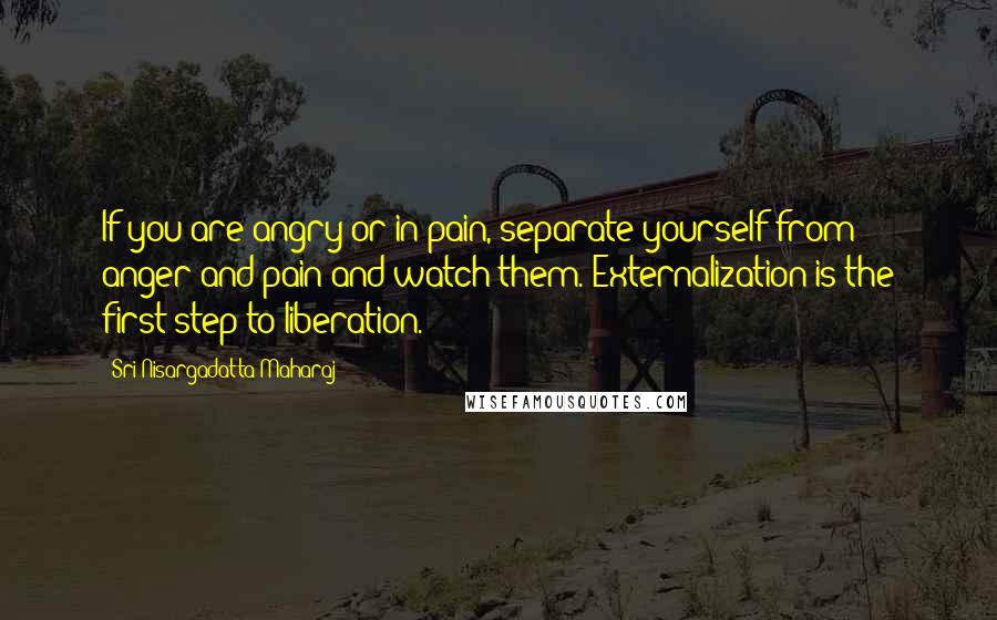 Sri Nisargadatta Maharaj Quotes: If you are angry or in pain, separate yourself from anger and pain and watch them. Externalization is the first step to liberation.