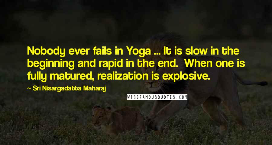 Sri Nisargadatta Maharaj Quotes: Nobody ever fails in Yoga ... It is slow in the beginning and rapid in the end. When one is fully matured, realization is explosive.
