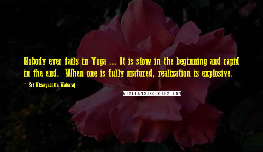 Sri Nisargadatta Maharaj Quotes: Nobody ever fails in Yoga ... It is slow in the beginning and rapid in the end. When one is fully matured, realization is explosive.
