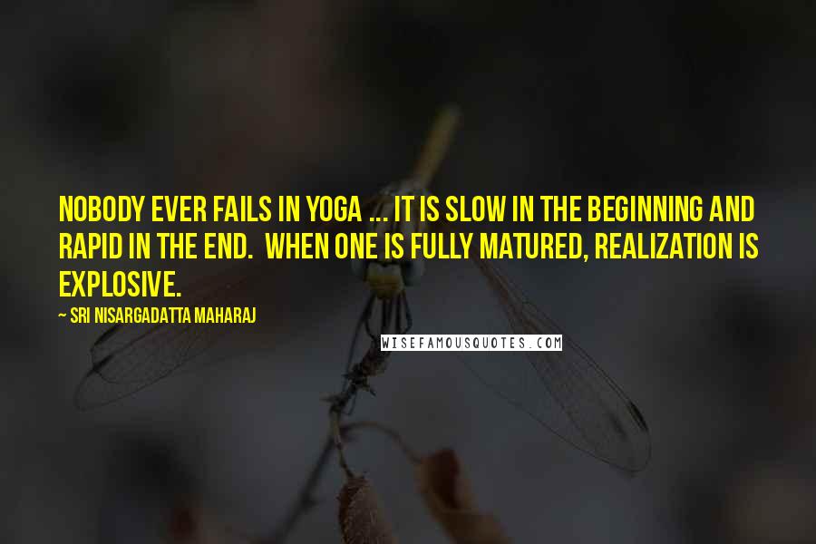 Sri Nisargadatta Maharaj Quotes: Nobody ever fails in Yoga ... It is slow in the beginning and rapid in the end. When one is fully matured, realization is explosive.