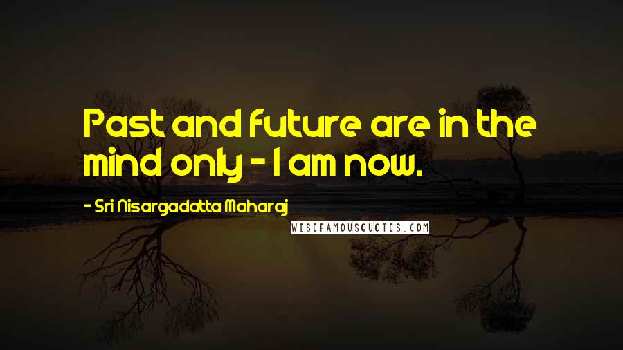 Sri Nisargadatta Maharaj Quotes: Past and future are in the mind only - I am now.