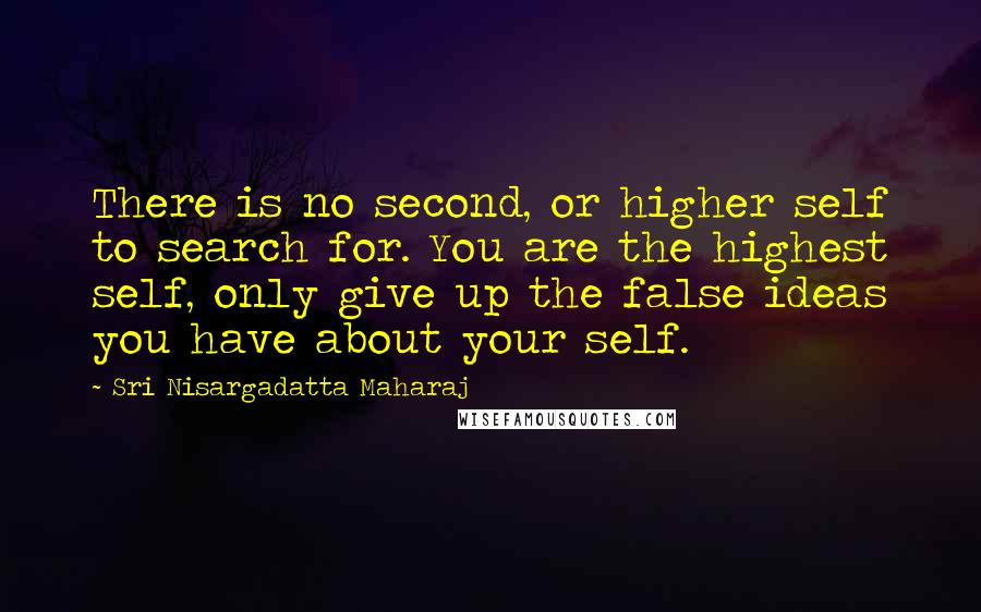Sri Nisargadatta Maharaj Quotes: There is no second, or higher self to search for. You are the highest self, only give up the false ideas you have about your self.