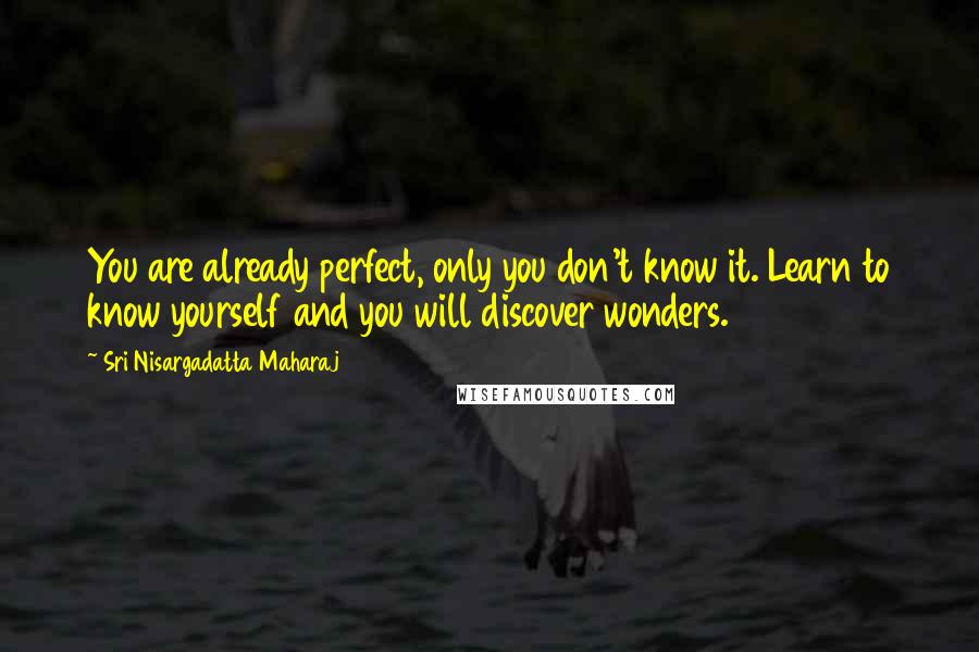 Sri Nisargadatta Maharaj Quotes: You are already perfect, only you don't know it. Learn to know yourself and you will discover wonders.