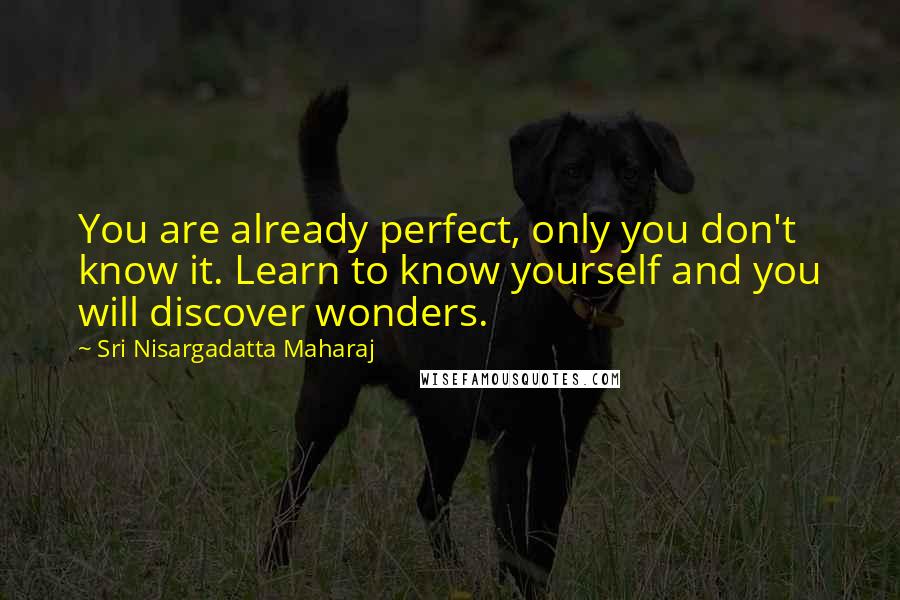 Sri Nisargadatta Maharaj Quotes: You are already perfect, only you don't know it. Learn to know yourself and you will discover wonders.