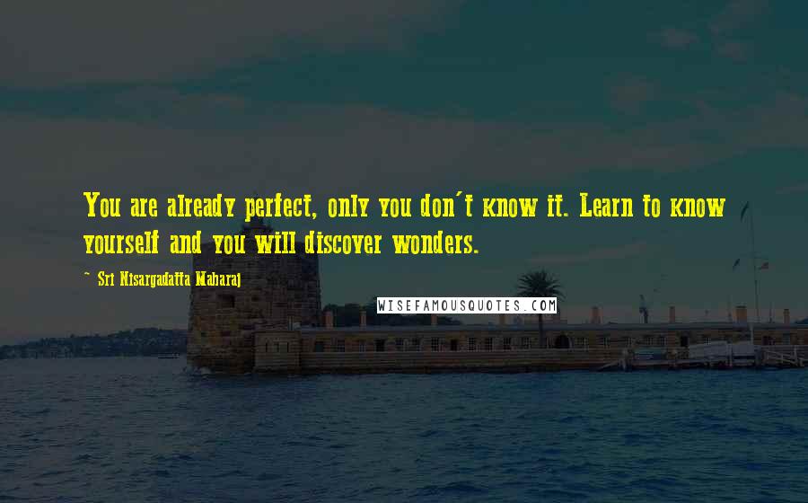 Sri Nisargadatta Maharaj Quotes: You are already perfect, only you don't know it. Learn to know yourself and you will discover wonders.