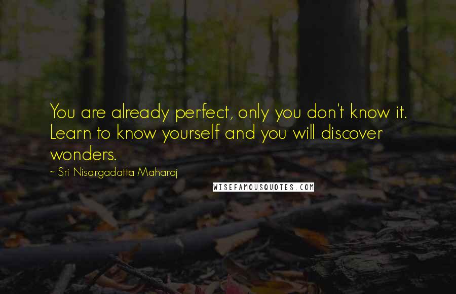 Sri Nisargadatta Maharaj Quotes: You are already perfect, only you don't know it. Learn to know yourself and you will discover wonders.