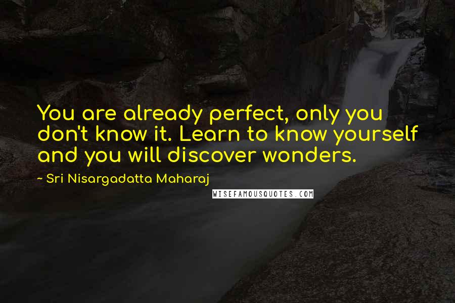 Sri Nisargadatta Maharaj Quotes: You are already perfect, only you don't know it. Learn to know yourself and you will discover wonders.