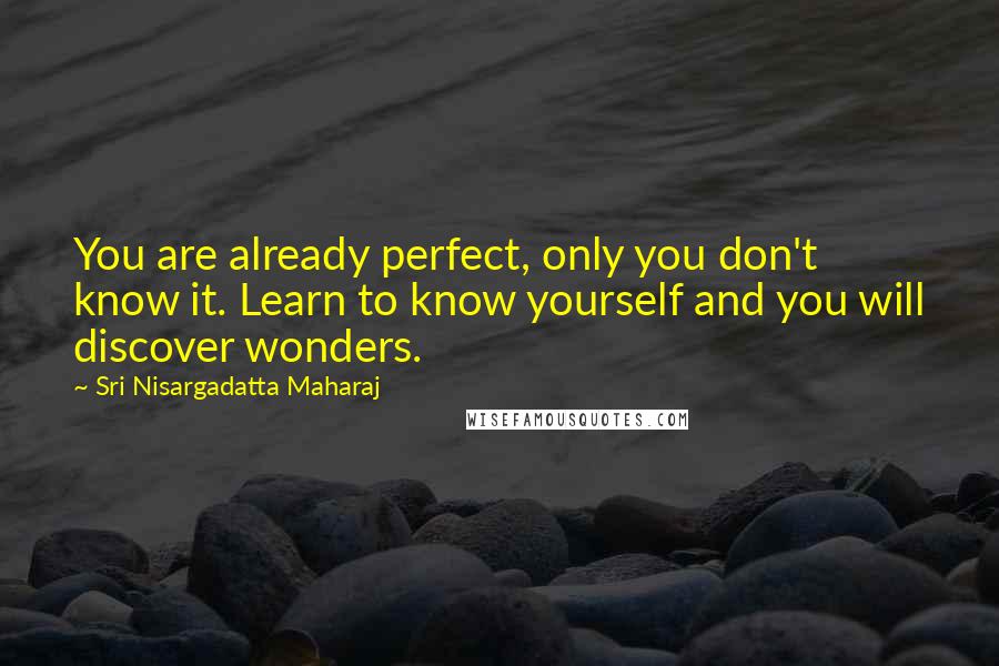 Sri Nisargadatta Maharaj Quotes: You are already perfect, only you don't know it. Learn to know yourself and you will discover wonders.