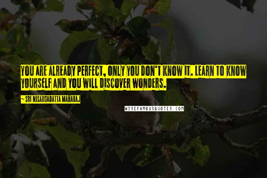 Sri Nisargadatta Maharaj Quotes: You are already perfect, only you don't know it. Learn to know yourself and you will discover wonders.