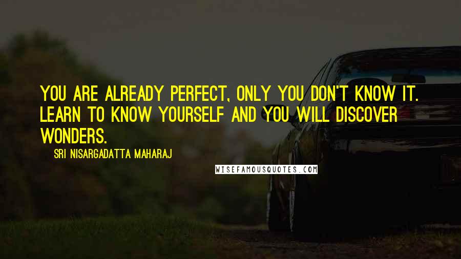 Sri Nisargadatta Maharaj Quotes: You are already perfect, only you don't know it. Learn to know yourself and you will discover wonders.