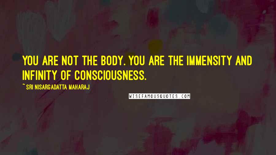 Sri Nisargadatta Maharaj Quotes: You are not the body. You are the immensity and infinity of consciousness.