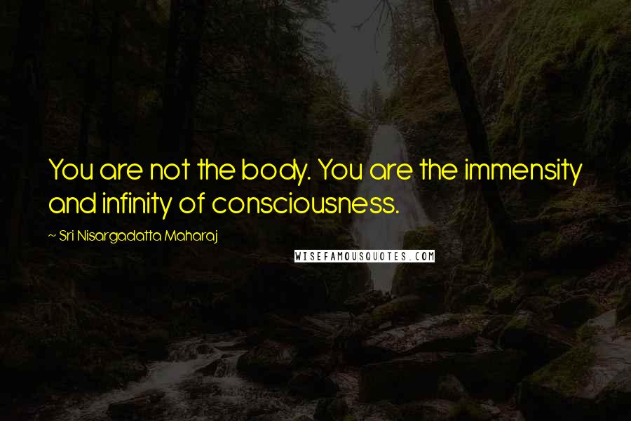 Sri Nisargadatta Maharaj Quotes: You are not the body. You are the immensity and infinity of consciousness.