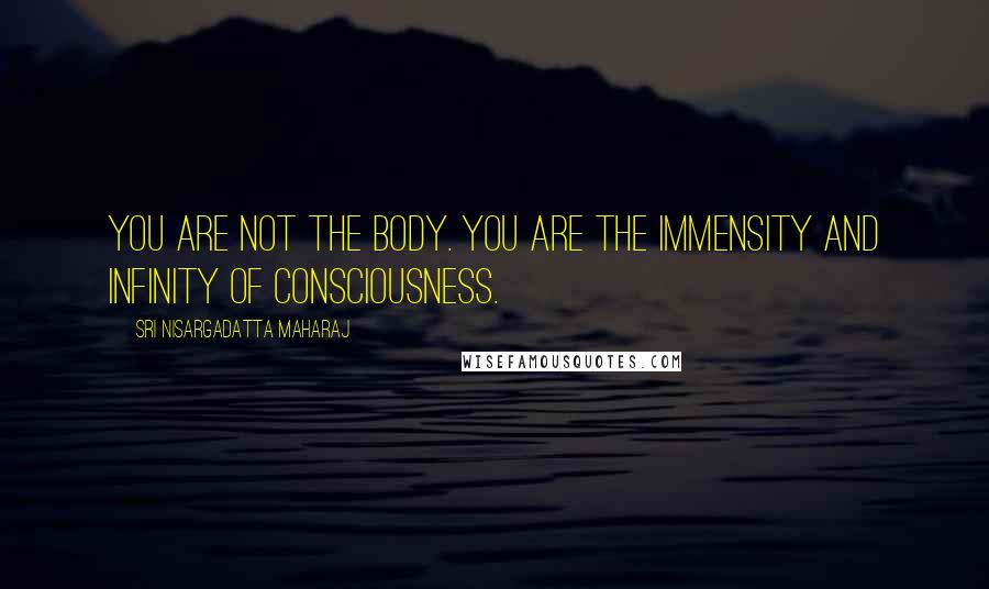 Sri Nisargadatta Maharaj Quotes: You are not the body. You are the immensity and infinity of consciousness.