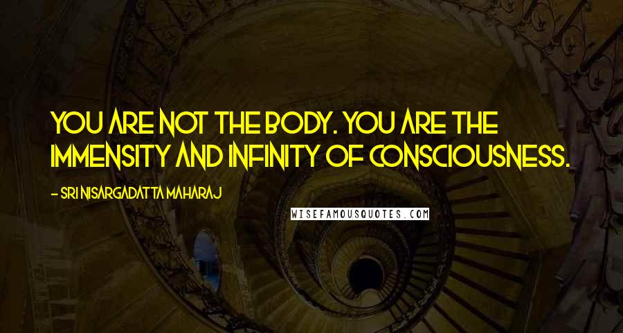 Sri Nisargadatta Maharaj Quotes: You are not the body. You are the immensity and infinity of consciousness.