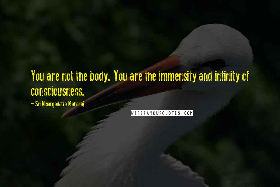 Sri Nisargadatta Maharaj Quotes: You are not the body. You are the immensity and infinity of consciousness.