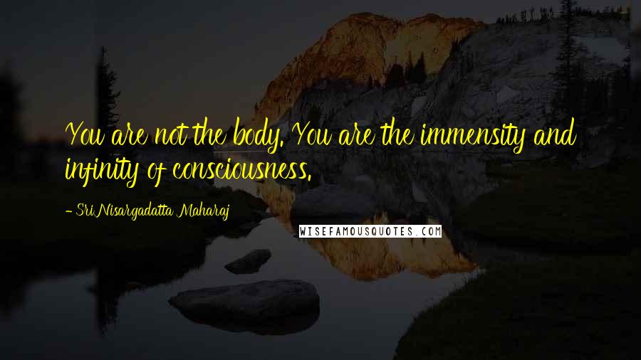 Sri Nisargadatta Maharaj Quotes: You are not the body. You are the immensity and infinity of consciousness.