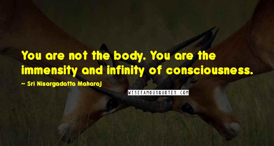 Sri Nisargadatta Maharaj Quotes: You are not the body. You are the immensity and infinity of consciousness.