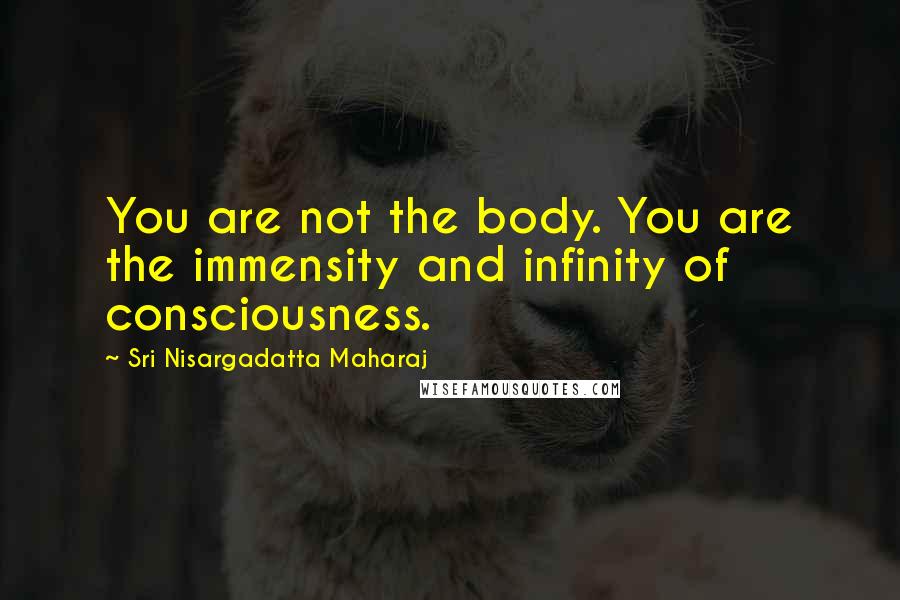 Sri Nisargadatta Maharaj Quotes: You are not the body. You are the immensity and infinity of consciousness.