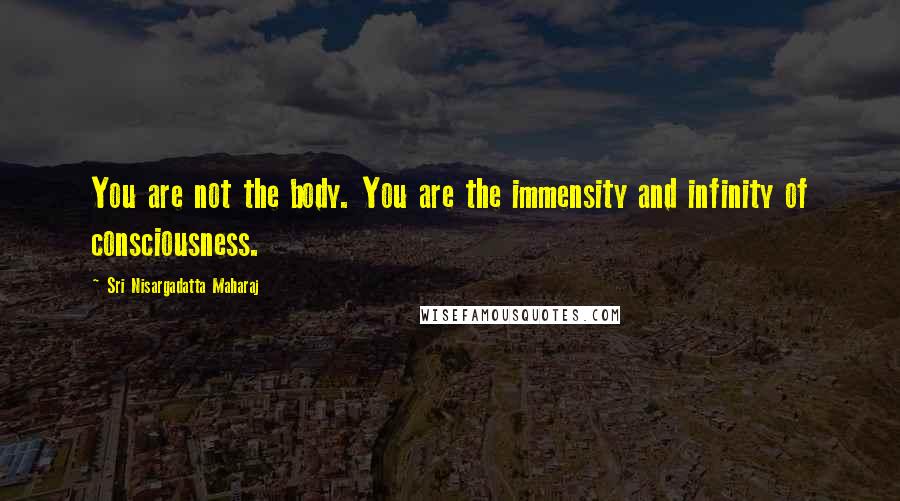 Sri Nisargadatta Maharaj Quotes: You are not the body. You are the immensity and infinity of consciousness.