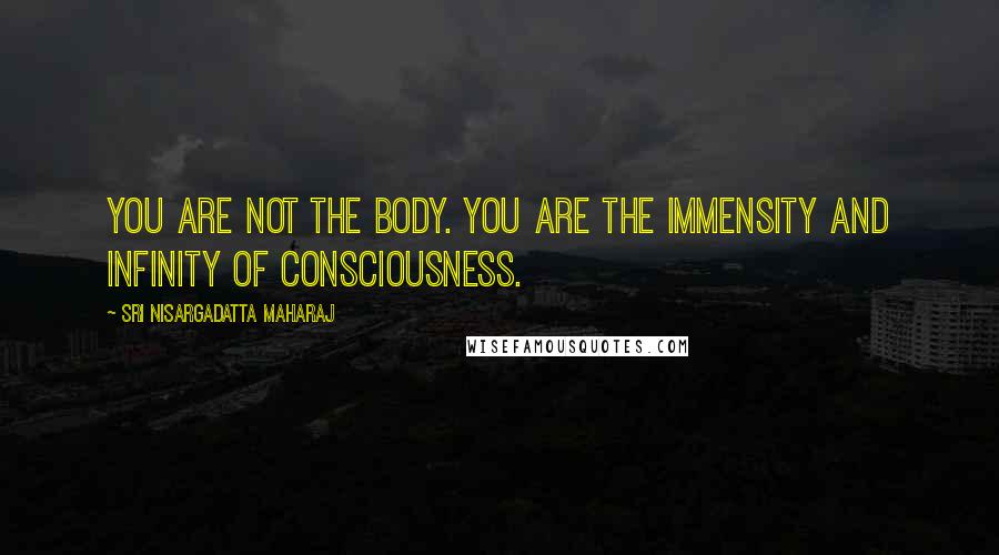 Sri Nisargadatta Maharaj Quotes: You are not the body. You are the immensity and infinity of consciousness.