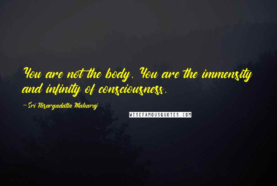 Sri Nisargadatta Maharaj Quotes: You are not the body. You are the immensity and infinity of consciousness.