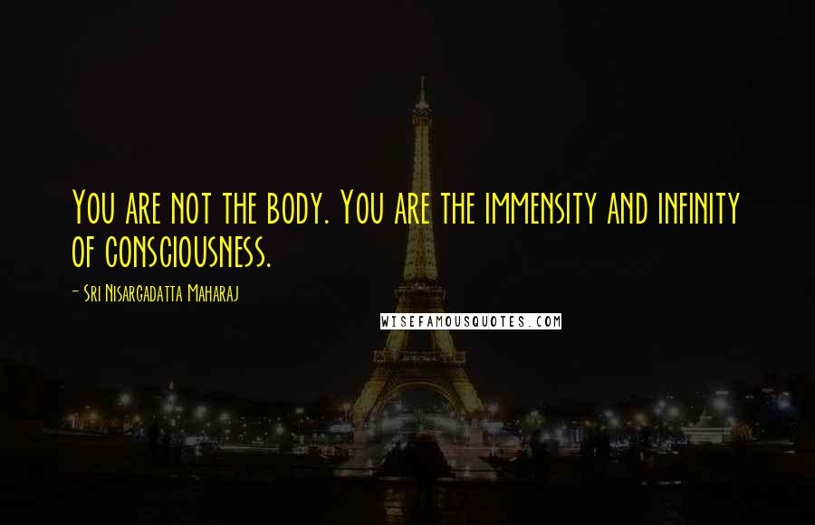 Sri Nisargadatta Maharaj Quotes: You are not the body. You are the immensity and infinity of consciousness.