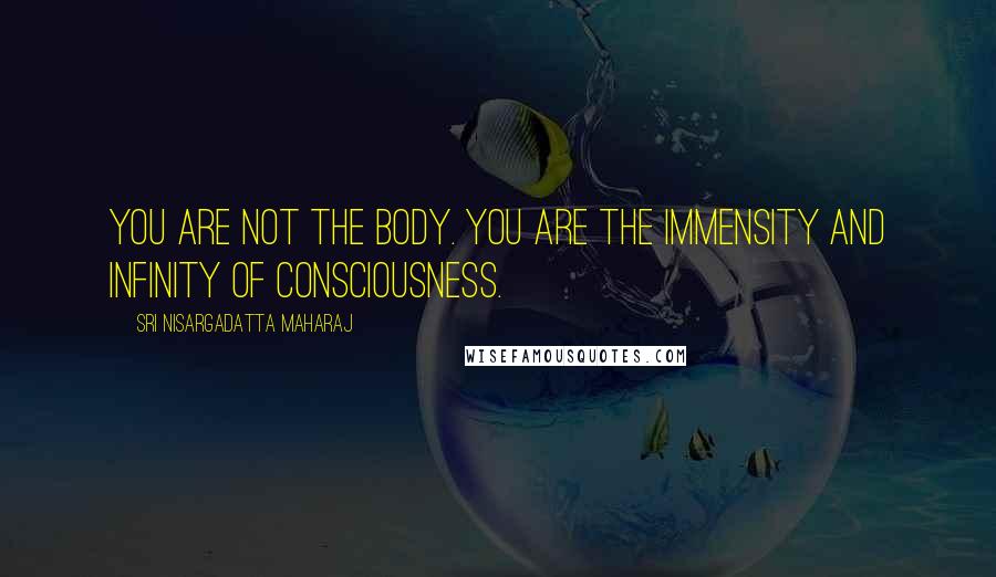 Sri Nisargadatta Maharaj Quotes: You are not the body. You are the immensity and infinity of consciousness.