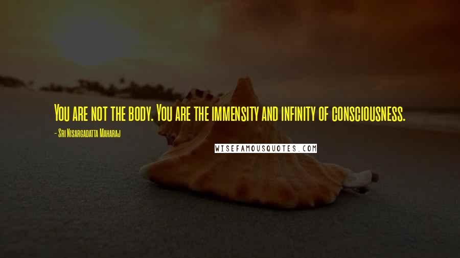 Sri Nisargadatta Maharaj Quotes: You are not the body. You are the immensity and infinity of consciousness.