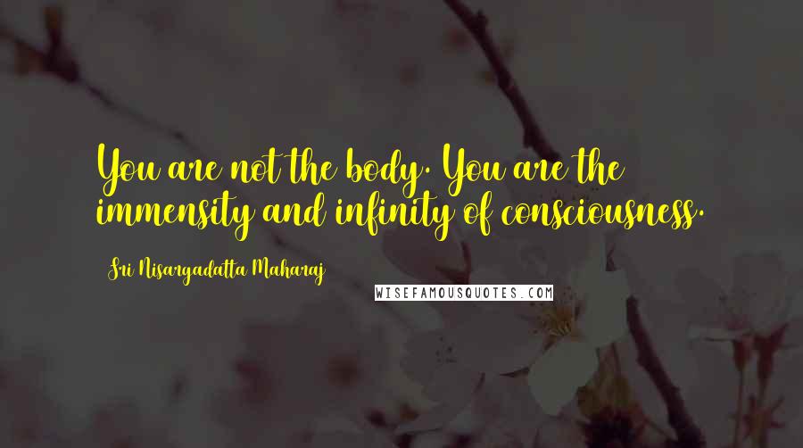 Sri Nisargadatta Maharaj Quotes: You are not the body. You are the immensity and infinity of consciousness.