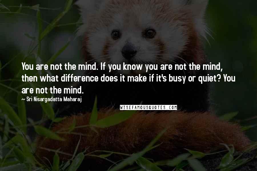 Sri Nisargadatta Maharaj Quotes: You are not the mind. If you know you are not the mind, then what difference does it make if it's busy or quiet? You are not the mind.