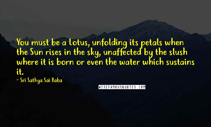 Sri Sathya Sai Baba Quotes: You must be a Lotus, unfolding its petals when the Sun rises in the sky, unaffected by the slush where it is born or even the water which sustains it.