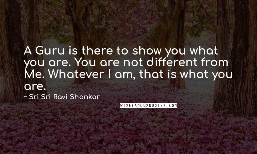 Sri Sri Ravi Shankar Quotes: A Guru is there to show you what you are. You are not different from Me. Whatever I am, that is what you are.