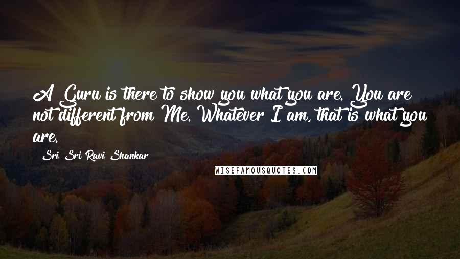 Sri Sri Ravi Shankar Quotes: A Guru is there to show you what you are. You are not different from Me. Whatever I am, that is what you are.