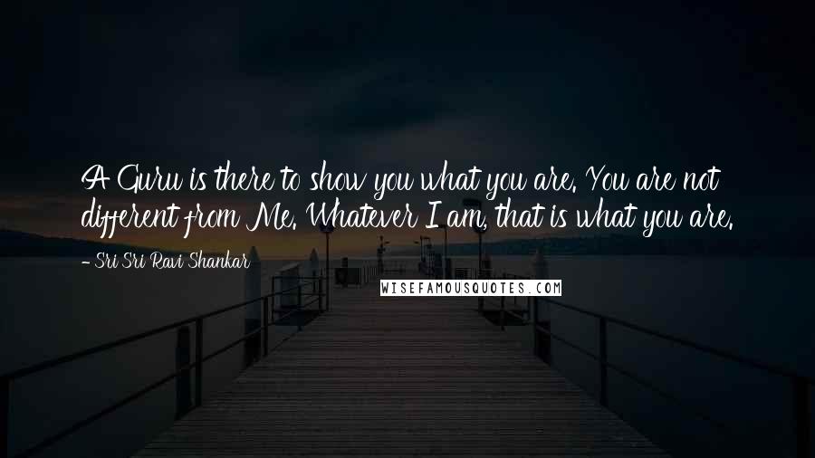 Sri Sri Ravi Shankar Quotes: A Guru is there to show you what you are. You are not different from Me. Whatever I am, that is what you are.