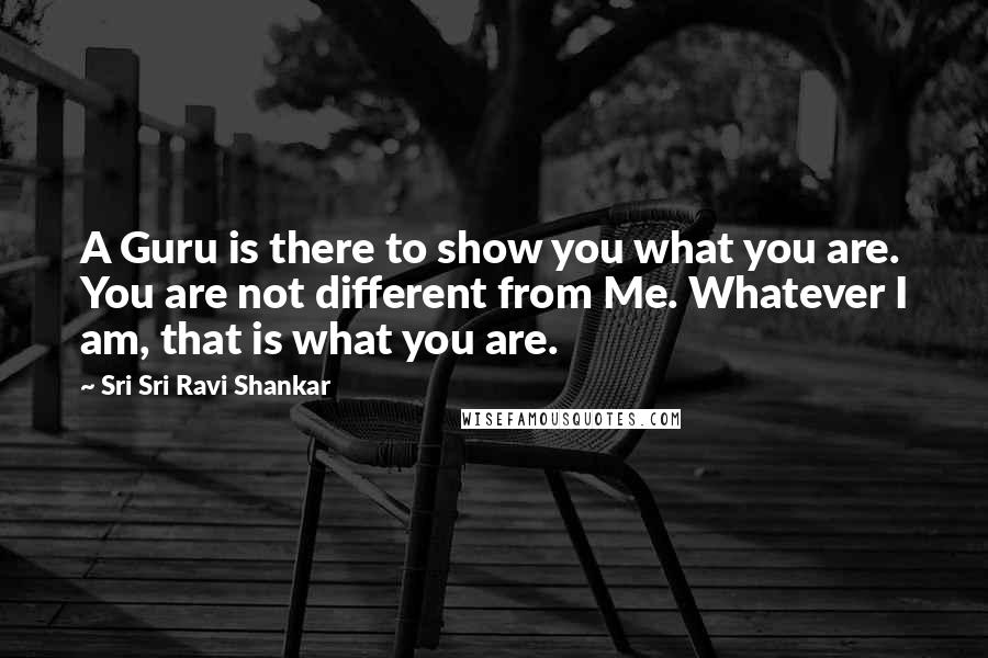 Sri Sri Ravi Shankar Quotes: A Guru is there to show you what you are. You are not different from Me. Whatever I am, that is what you are.