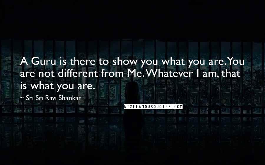 Sri Sri Ravi Shankar Quotes: A Guru is there to show you what you are. You are not different from Me. Whatever I am, that is what you are.