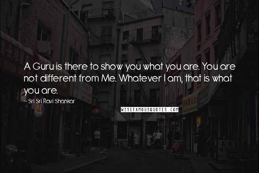 Sri Sri Ravi Shankar Quotes: A Guru is there to show you what you are. You are not different from Me. Whatever I am, that is what you are.