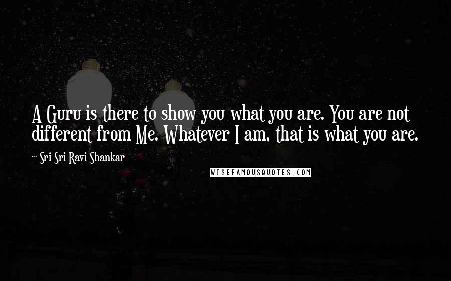 Sri Sri Ravi Shankar Quotes: A Guru is there to show you what you are. You are not different from Me. Whatever I am, that is what you are.