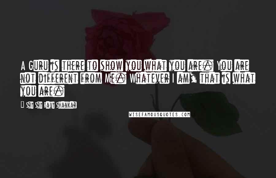 Sri Sri Ravi Shankar Quotes: A Guru is there to show you what you are. You are not different from Me. Whatever I am, that is what you are.