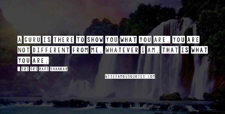 Sri Sri Ravi Shankar Quotes: A Guru is there to show you what you are. You are not different from Me. Whatever I am, that is what you are.